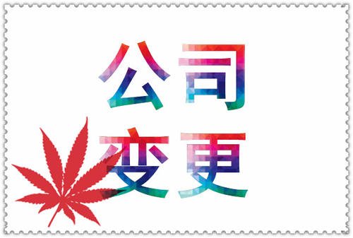 广州公司变更